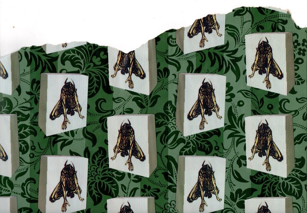 C0243 David Bowie Wallpaper 2