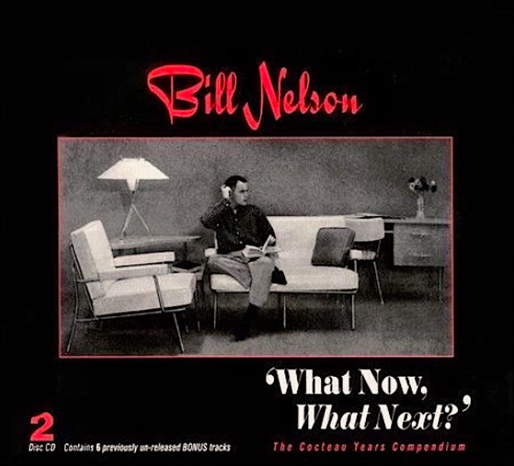 What Now, What Next? Cover - Bill Nelson